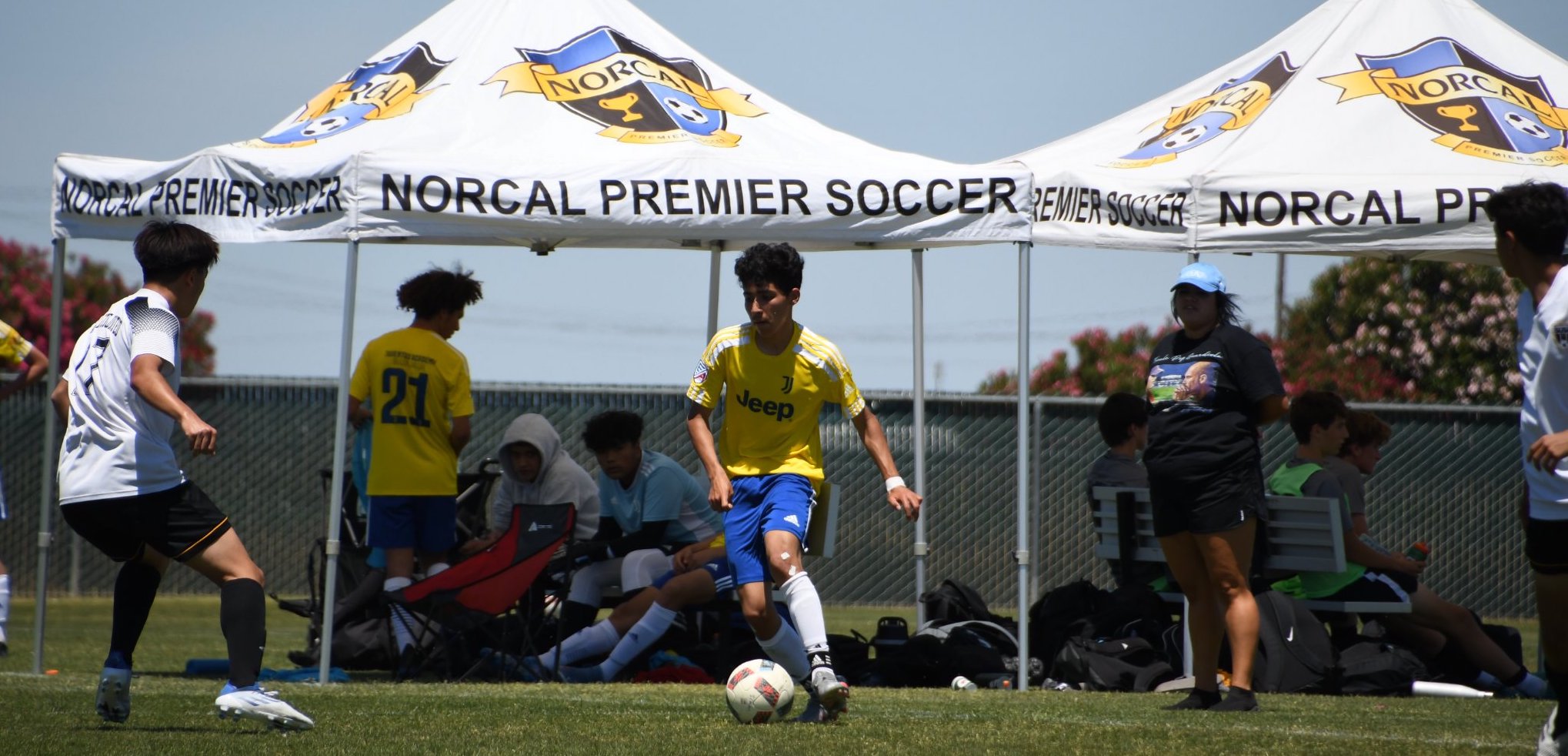 U11U19 NorCal Premier Fall League Schedules Posted NorCal Premier