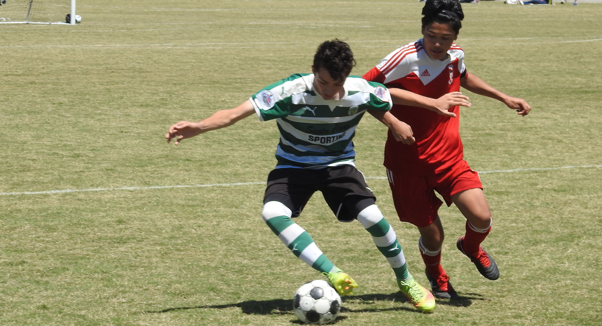 U17 Boys NPL Spring Showcase Recap NorCal Premier