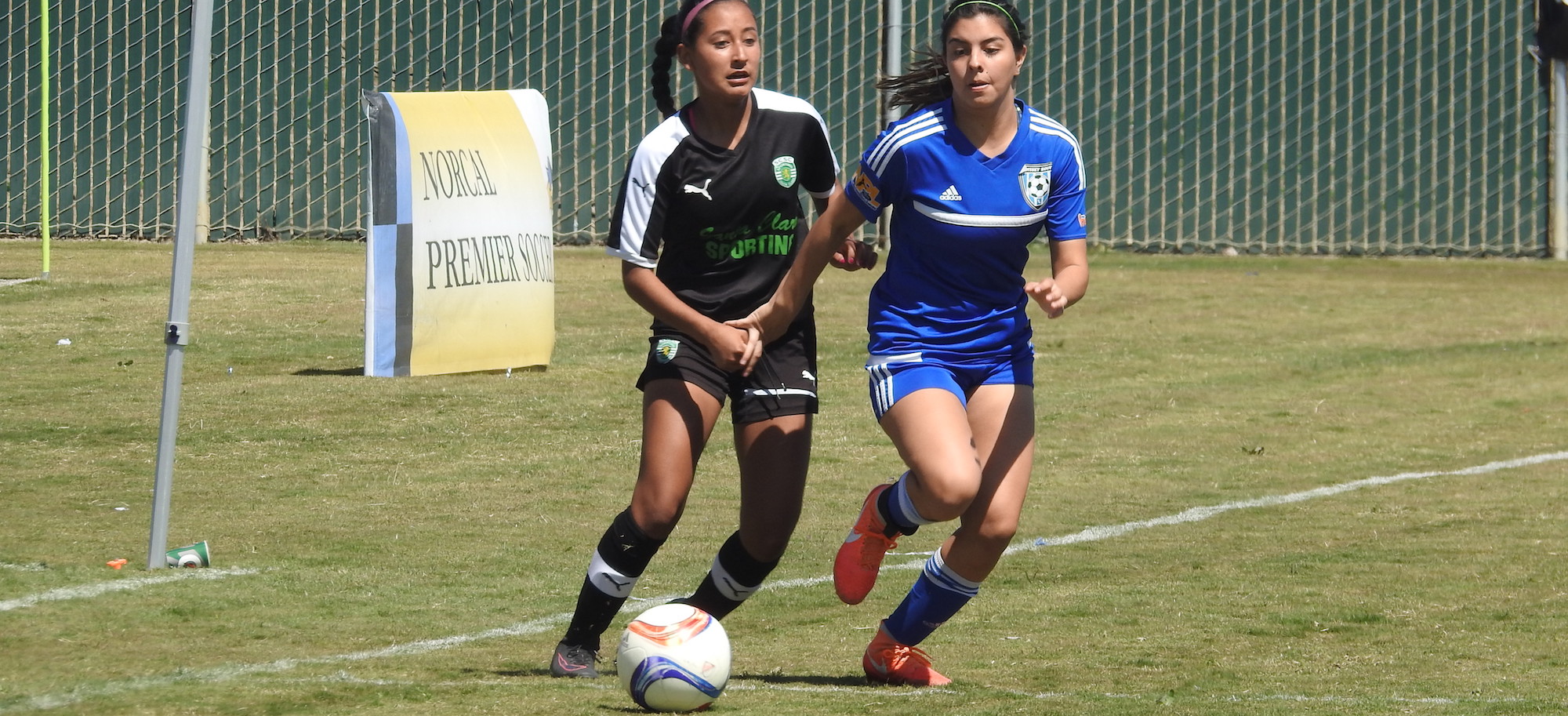 U17 Girls NPL Spring Showcase Recap NorCal Premier