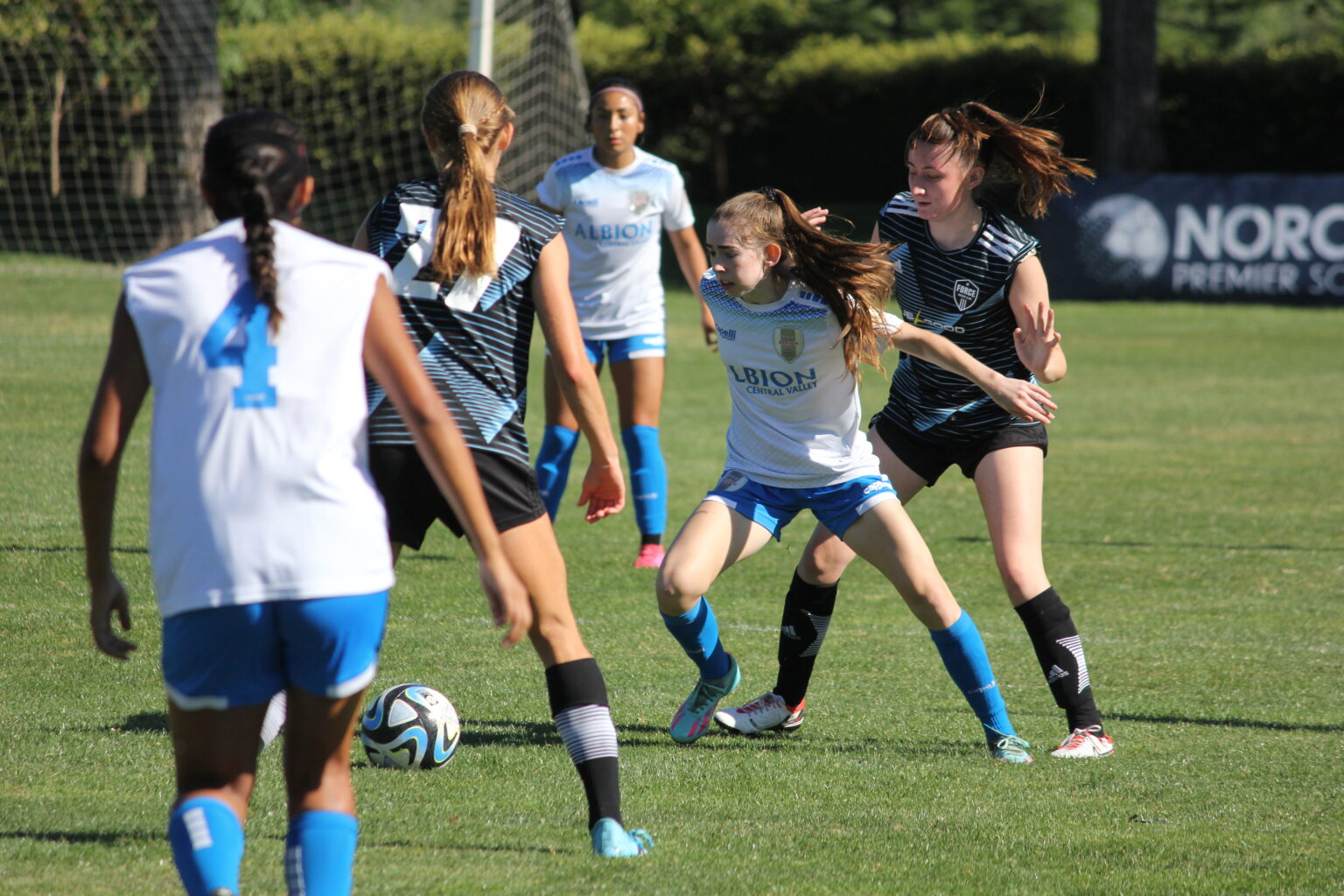 NorCal College Showcase: U17 Title and Promotion Races | NorCal Premier